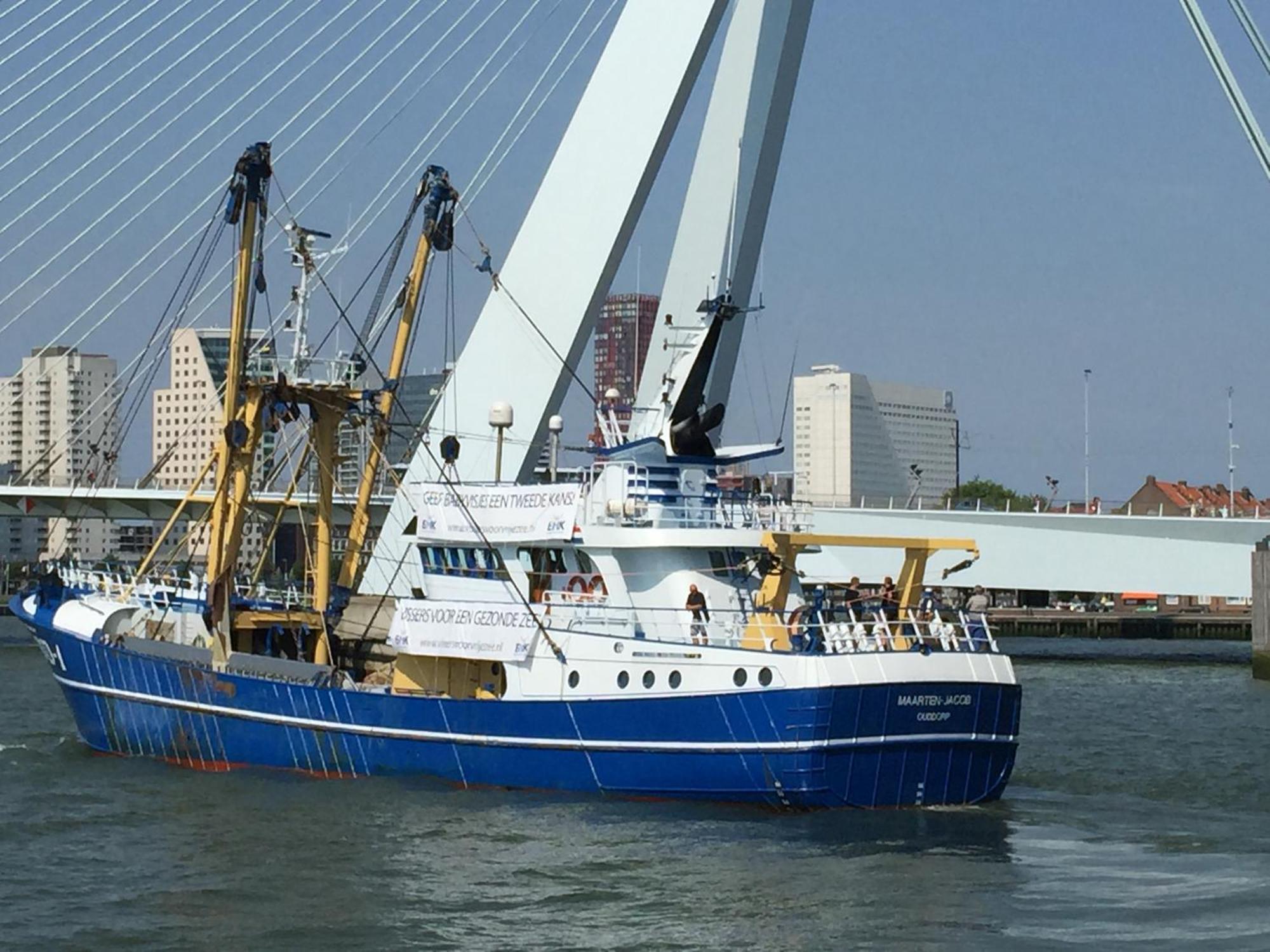 B&B Prive Tiny House Bij Zee Stellendam Eksteriør billede
