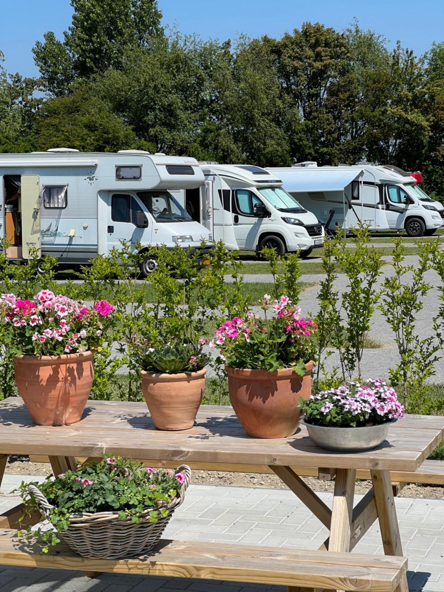 B&B Prive Tiny House Bij Zee Stellendam Eksteriør billede
